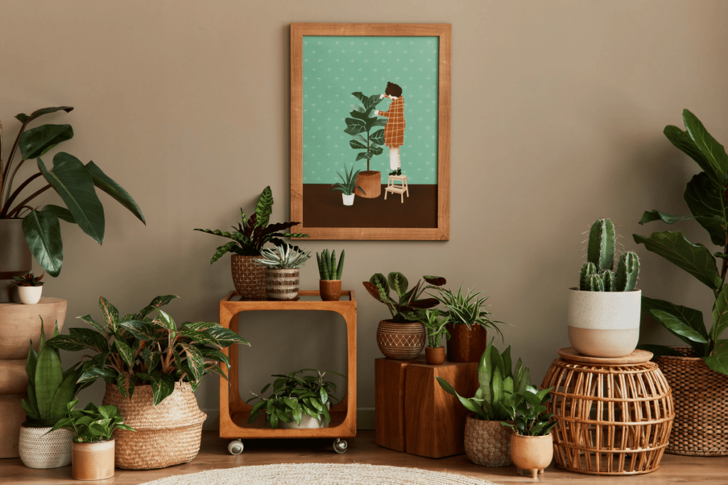 Plantas para Ambientes Internos